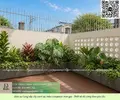 Thiết kế thi công cảnh quan chậu Composite 01052026 7.webp