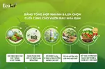 a-chon-cuoi-cung-cho-vuon-rau-nha-ban_a1000cb723bb470e9795b75e086af5e9.webp