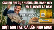 Hương Sữa Bánh Quy M Bảo Bối Chất Dẫn Dụ Mồi Câu Cá Rô Phi Đỉnh Cao - 4.webp