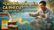 Hương Sữa Vani 312+ Bí Quyết Mồi Câu Cá Rô Phi Bất Bại -4.webp