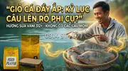 Hương Sữa Vani 312+ Bí Quyết Mồi Câu Cá Rô Phi Bất Bại -5.webp