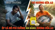 Hương Sữa A3 Bí Quyết Đột Phá Phối Trộn Hương Liệu Mồi Câu Cá Rô Phi-2.webp