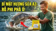 Hương Sữa A3 Bí Quyết Đột Phá Phối Trộn Hương Liệu Mồi Câu Cá Rô Phi-4.webp