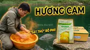 Hương Cam Bí Quyết Đỉnh Cao Tạo Chất Dẫn Dụ Với Hương Liệu Cá Rô Phi -1.webp