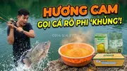 Hương Cam Bí Quyết Đỉnh Cao Tạo Chất Dẫn Dụ Với Hương Liệu Cá Rô Phi -3.webp