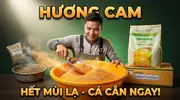 Hương Cam Bí Quyết Đỉnh Cao Tạo Chất Dẫn Dụ Với Hương Liệu Cá Rô Phi -4.webp