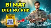 Hương Sữa Vani 122B Bí Quyết Phối Trộn Hương Liệu Mồi Câu Cá Rô Phi Siêu Nhạy-2.webp