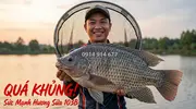 Hương Sữa 103B Tinh Mùi Kích Thích Cá Rô Phi Cuốn Ổ Tuyệt Đỉnh Cao Cấp- 3.webp