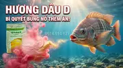 Bí Quyết Sát Cá Hương Dâu D - Vũ Khí Tối Thượng Cho Các Cần Thủ- 1.webp