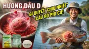 Bí Quyết Sát Cá Hương Dâu D - Vũ Khí Tối Thượng Cho Các Cần Thủ-3.webp