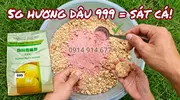 Tuyệt Chiêu Câu Rô Phi Dịch Vụ Cứ Chạm Là Dính Nhờ HƯƠNG DÂU 999- 2.webp