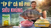 Tuyệt Chiêu Câu Rô Phi Dịch Vụ Cứ Chạm Là Dính Nhờ HƯƠNG DÂU 999- 4.webp