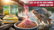 Tuyệt Chiêu Câu Rô Phi Dịch Vụ Cứ Chạm Là Dính Nhờ HƯƠNG DÂU 999- 5.webp