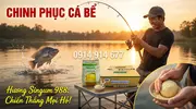 Hương Trái Cây 988 Singum Giải Pháp Dẫn Dụ Tuyệt Đỉnh Hương Liệu Mồi Câu Cá Rô Phi -1.webp