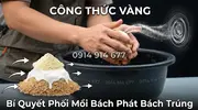 Hương Trái Cây 988 Singum Giải Pháp Dẫn Dụ Tuyệt Đỉnh Hương Liệu Mồi Câu Cá Rô Phi -2.webp