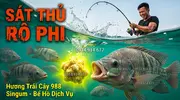 Hương Trái Cây 988 Singum Giải Pháp Dẫn Dụ Tuyệt Đỉnh Hương Liệu Mồi Câu Cá Rô Phi -.webp