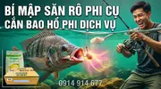 Hương Trái Cây 988 Singum Giải Pháp Dẫn Dụ Tuyệt Đỉnh Hương Liệu Mồi Câu Cá Rô Phi -3.webp