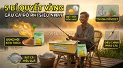 Hương Trái Cây Tổng Hợp GH – Giải Pháp “Bí Kíp” Phối Trộn Hương Liệu Mồi Câu Cá Rô Phi Bất Bạ...webp