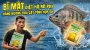 Hương Trái Cây Tổng Hợp GH – Giải Pháp “Bí Kíp” Phối Trộn Hương Liệu Mồi Câu Cá Rô Phi Bất Bạ...webp