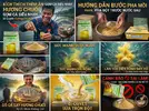 Tinh Mùi Hương Chuối Bí Quyết & Cách Tạo Mùi Thơm Cho Mồi Câu Cá Rô Phi Siêu Nhạy-3.webp