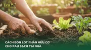 cach-bon-lot-phan-huu-co-cho-rau-dung-cach-truoc-khi-trong_9aaea481d443429383ab3d6078b24a50 (1).webp