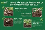 n-huu-co-cho-rau-theo-4-buoc-don-gian_260d0e791a97450e8e7e12387a3b4834 (1).webp