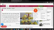 1780424219341.webp