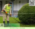 Dịch vụ Bảo dưỡng cảnh quan cắt cỏ doanh nghiệp 050626 1.webp