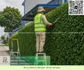 Dịch vụ Bảo dưỡng cảnh quan cắt cỏ doanh nghiệp 050626 3.webp