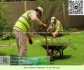 Dịch vụ Bảo dưỡng cảnh quan cắt cỏ doanh nghiệp 050626 4.webp