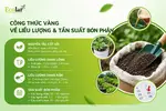 ng-ve-lieu-luong-va-tan-suat-bon-phan_c3868da64bac4713aa178f9537d39891.webp