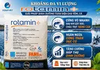 QUẢNG CÁO 4.webp