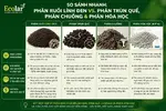 -trun-que-phan-chuong-va-phan-hoa-hoc_480adcf0e7d54a1bbe598bb143c5584c (1).webp