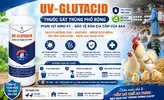 Thuốc Sát Trùng Phổ Rộng1.webp