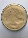 Mau Bacillus Licheniformis -2.webp