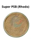 super-psb_1.webp