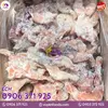 ẾCH ĐÔNG LẠNH (1).webp