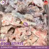 ẾCH ĐÔNG LẠNH (2).webp