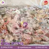 ẾCH ĐÔNG LẠNH (6).webp