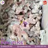 ẾCH ĐÔNG LẠNH (12).webp