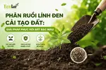 phan-ruoi-linh-den-cai-tao-dat-giai-phap-phuc-hoi-dat-bac-mau_a30ee45cddb54100ab7224ac5d6e45c...webp