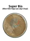 mẫu bột.webp