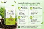 ien-phan-ruoi-linh-den-chat-luong-cao_1a2502add55f4b24a73260d2fcd86651 (1).webp
