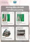 Lưỡi cưa Thụy Điển.webp