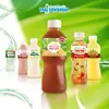 nuoc-sam-la-han-hoa-cuc-thai-son.webp