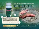 BIO-ECO 01.webp
