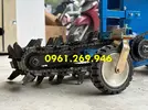 z6810810642279_f40e053bafac21370c616d0b30b64ee3.webp