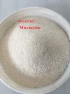 microzyme mẫu.webp