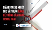TOMEXCO - 2026-08-19T163445.212.webp