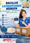 poster lichen.webp